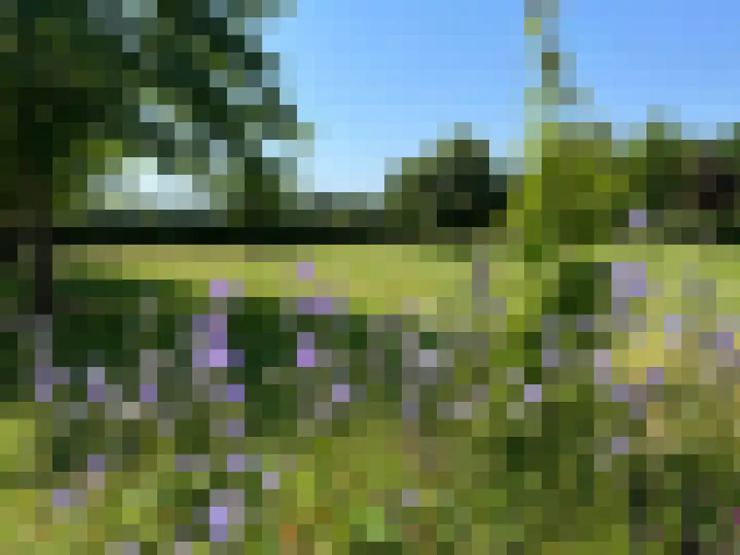 Heemserveldweg 1 b Heemserveen thumbnail 56
