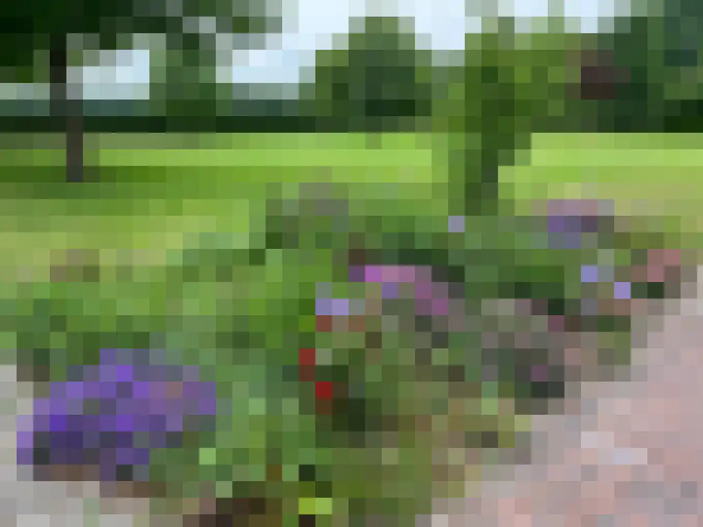 Heemserveldweg 1 b Heemserveen thumbnail 57