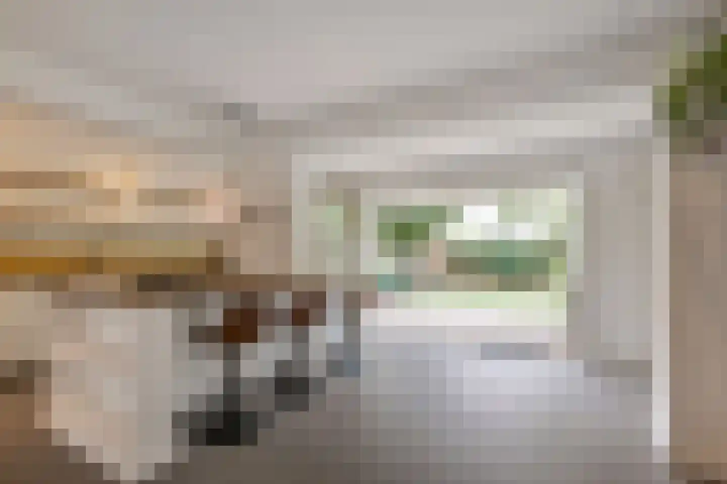 Heemskerckstraat 24 Den Haag thumbnail 4