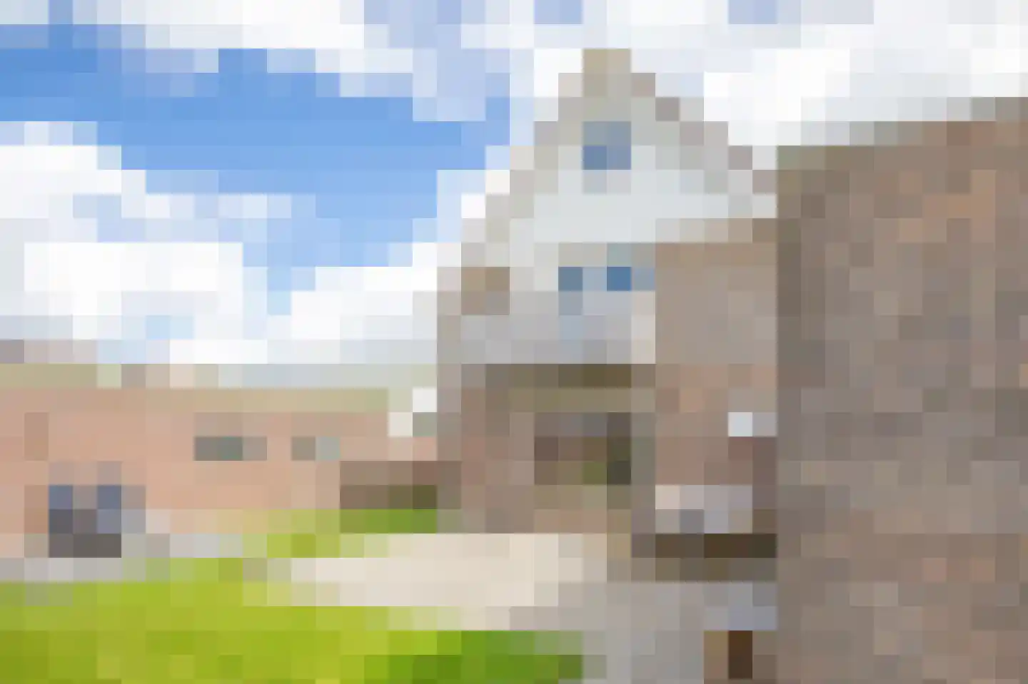 Heemskerckstraat 39 Oudeschild thumbnail 36