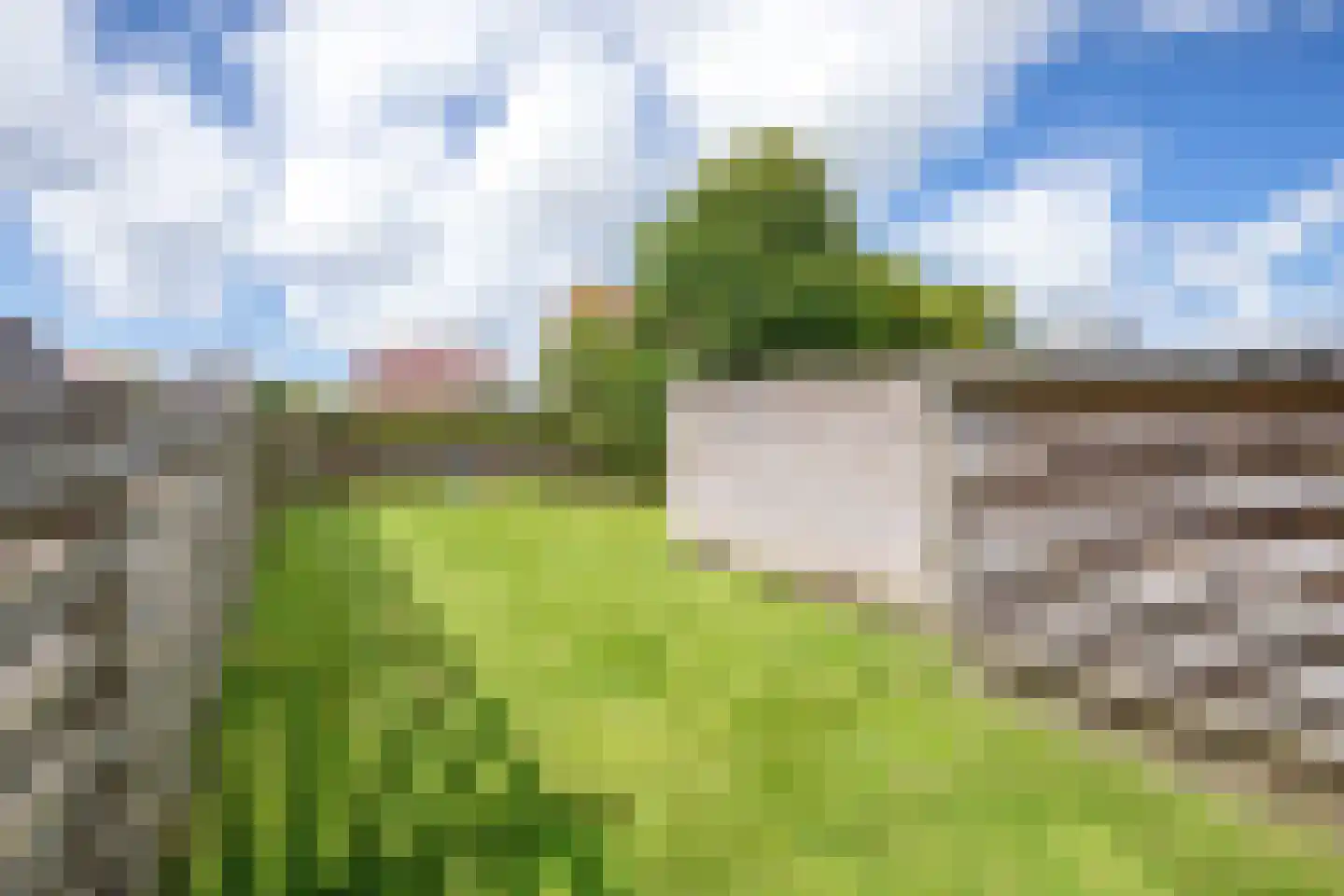 Heemskerckstraat 39 Oudeschild thumbnail 39