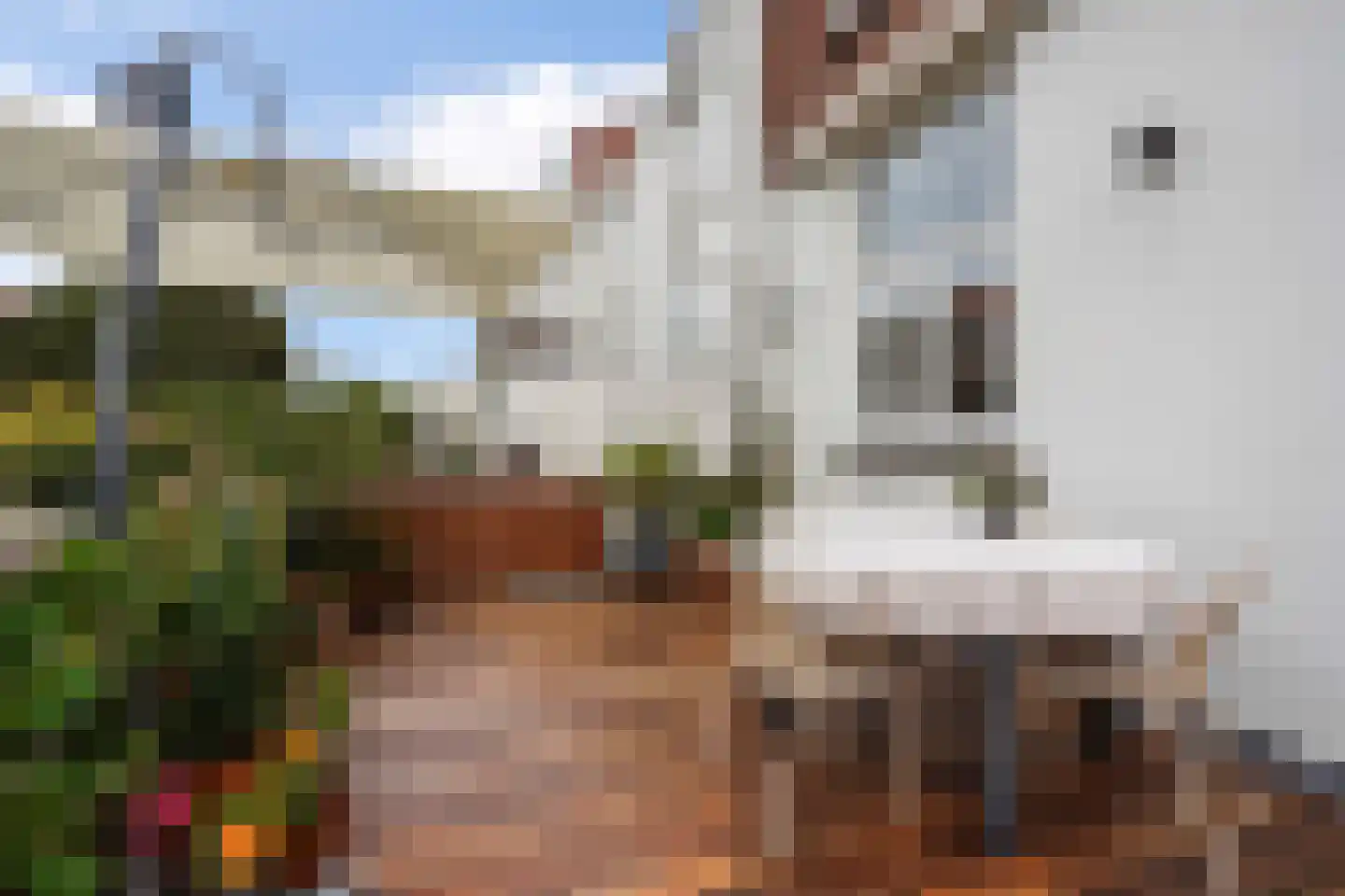 Heemskerckstraat 4 A Den Haag thumbnail 30