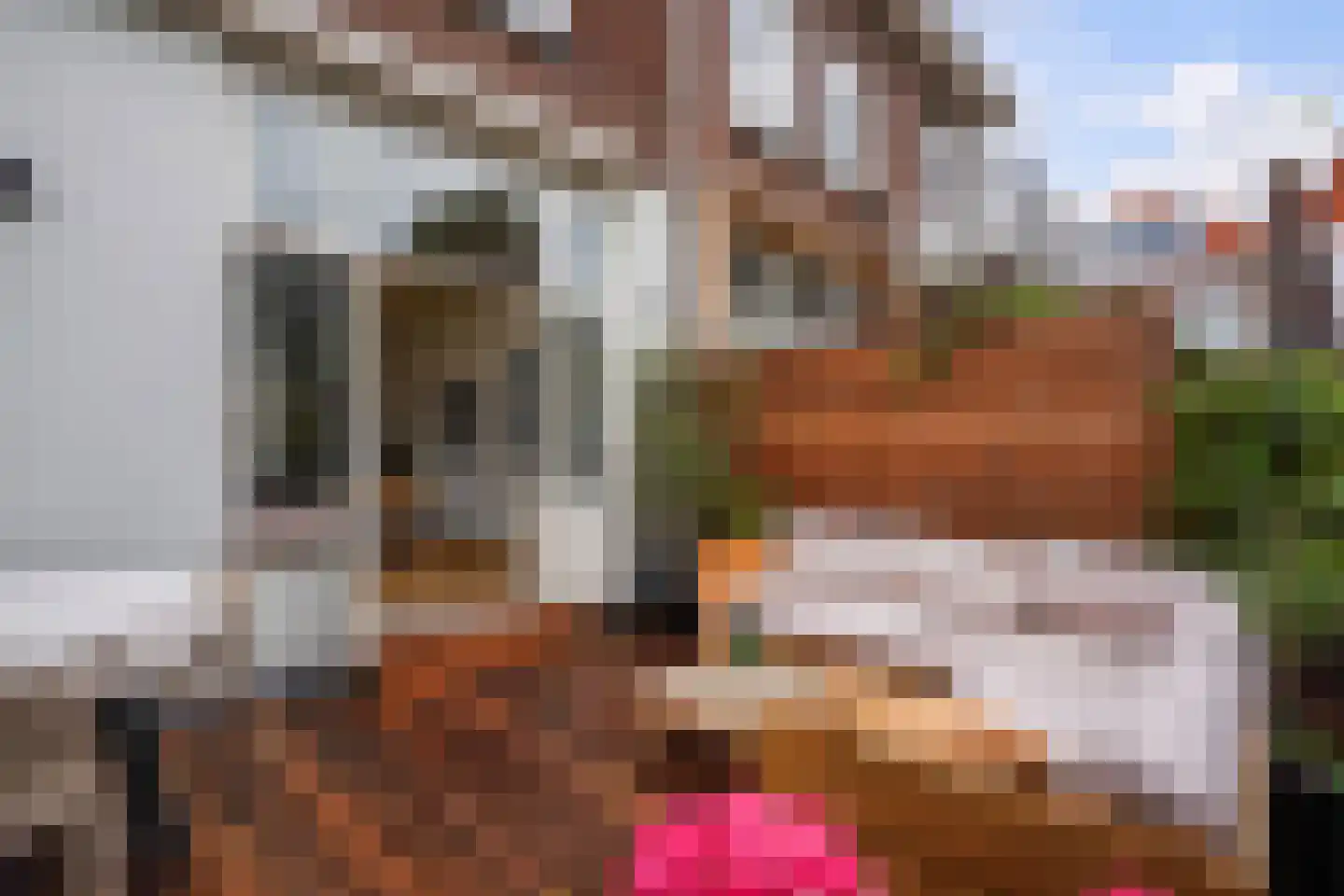 Heemskerckstraat 4 A Den Haag thumbnail 32