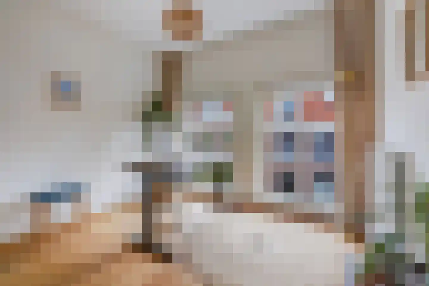 Heemskerckstraat 4 A Den Haag thumbnail 43