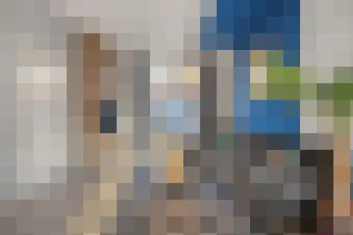Heemskerckstraat 51 Zwolle thumbnail 7