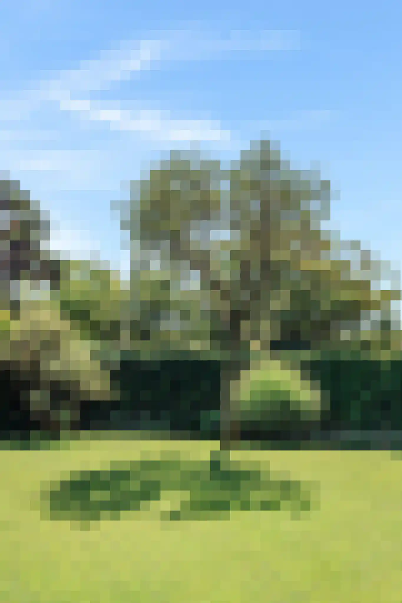 Heemskerkerrelweg 2 Wijk aan Zee thumbnail 103