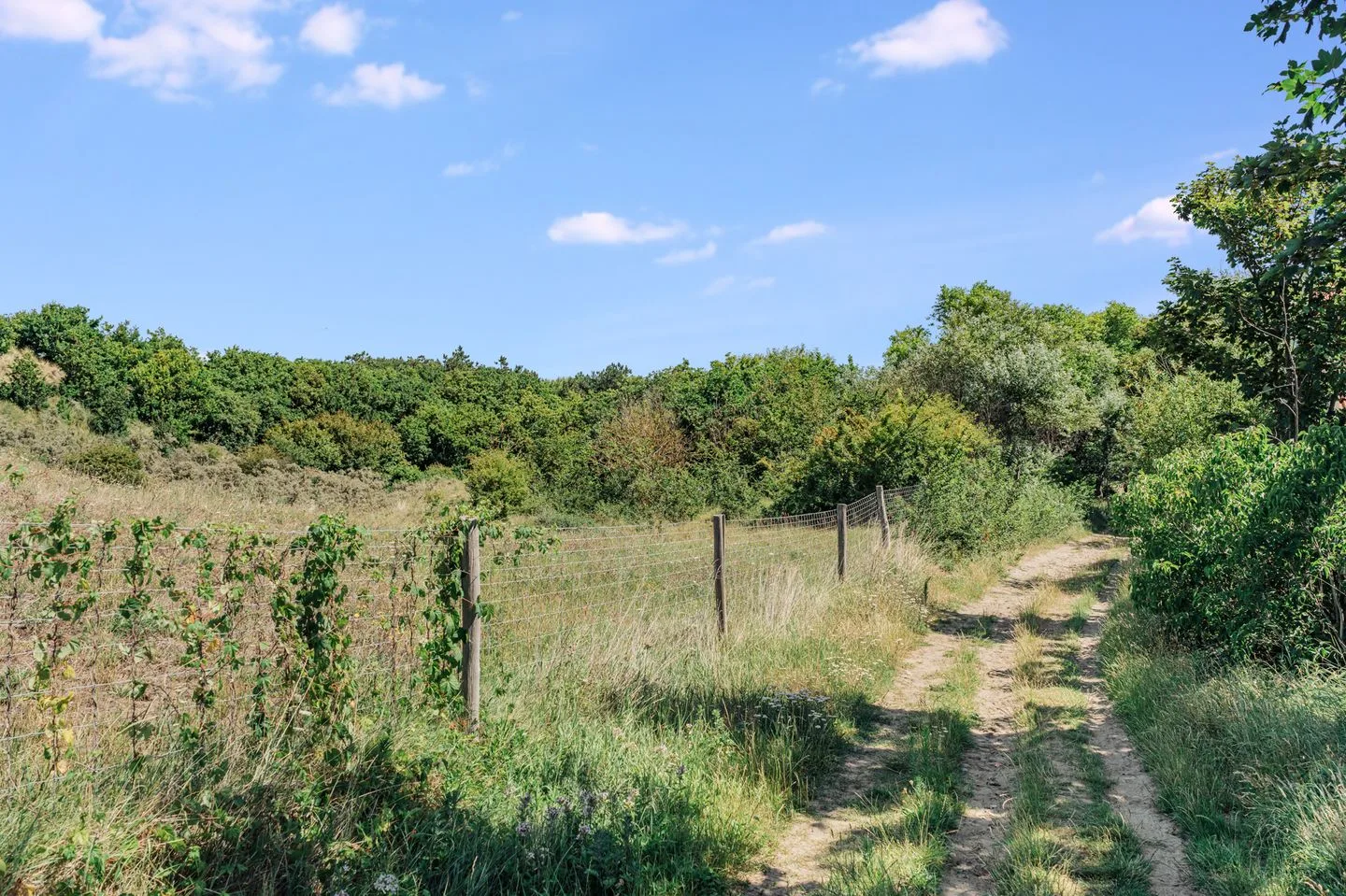 Heemskerkerrelweg 2 Wijk aan Zee thumbnail 121