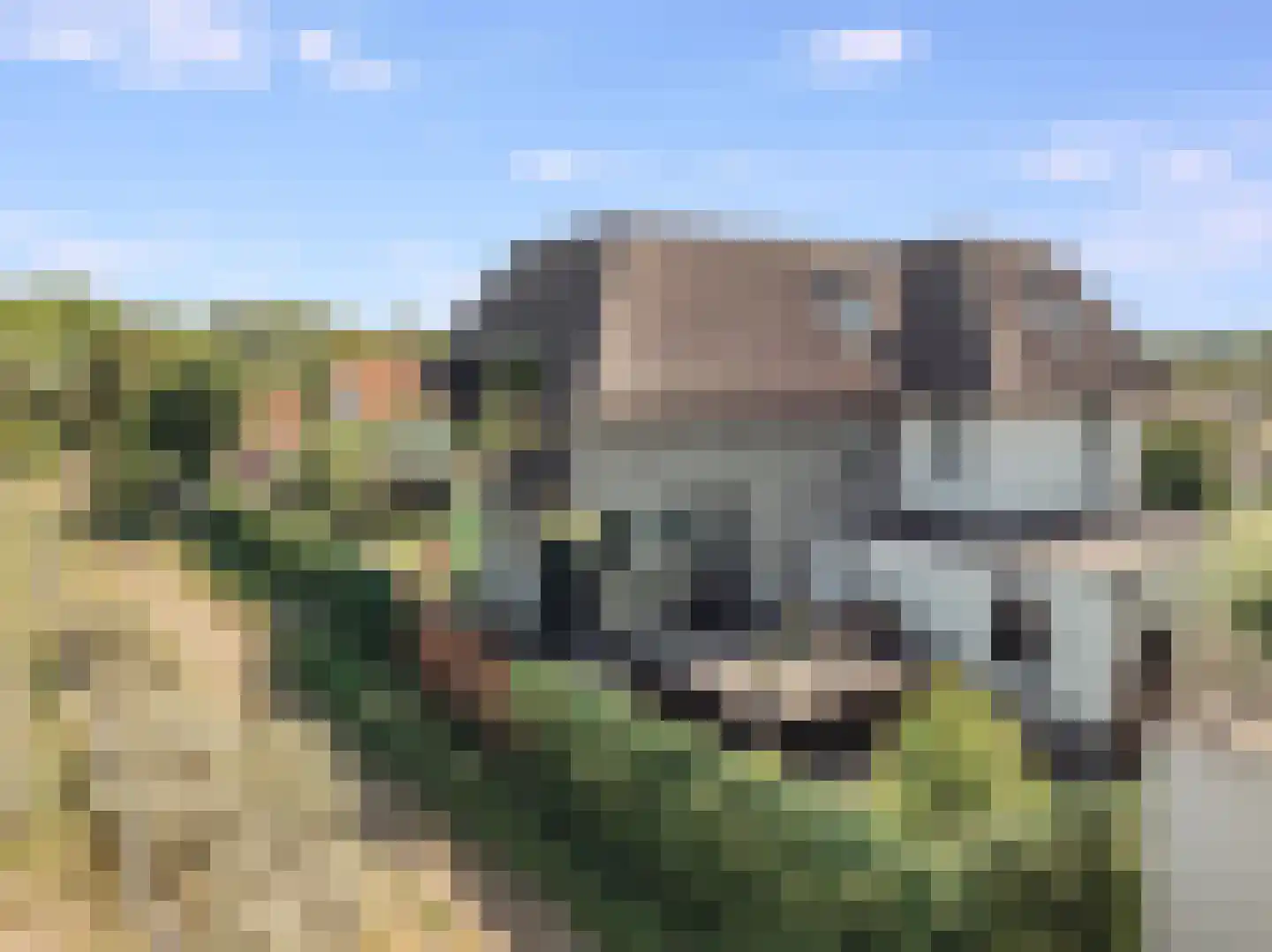 Heemskerkerrelweg 2 Wijk aan Zee thumbnail 123