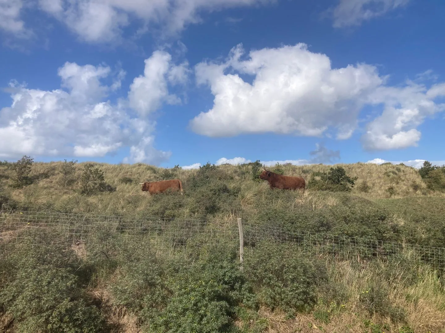 Heemskerkerrelweg 2 Wijk aan Zee thumbnail 127