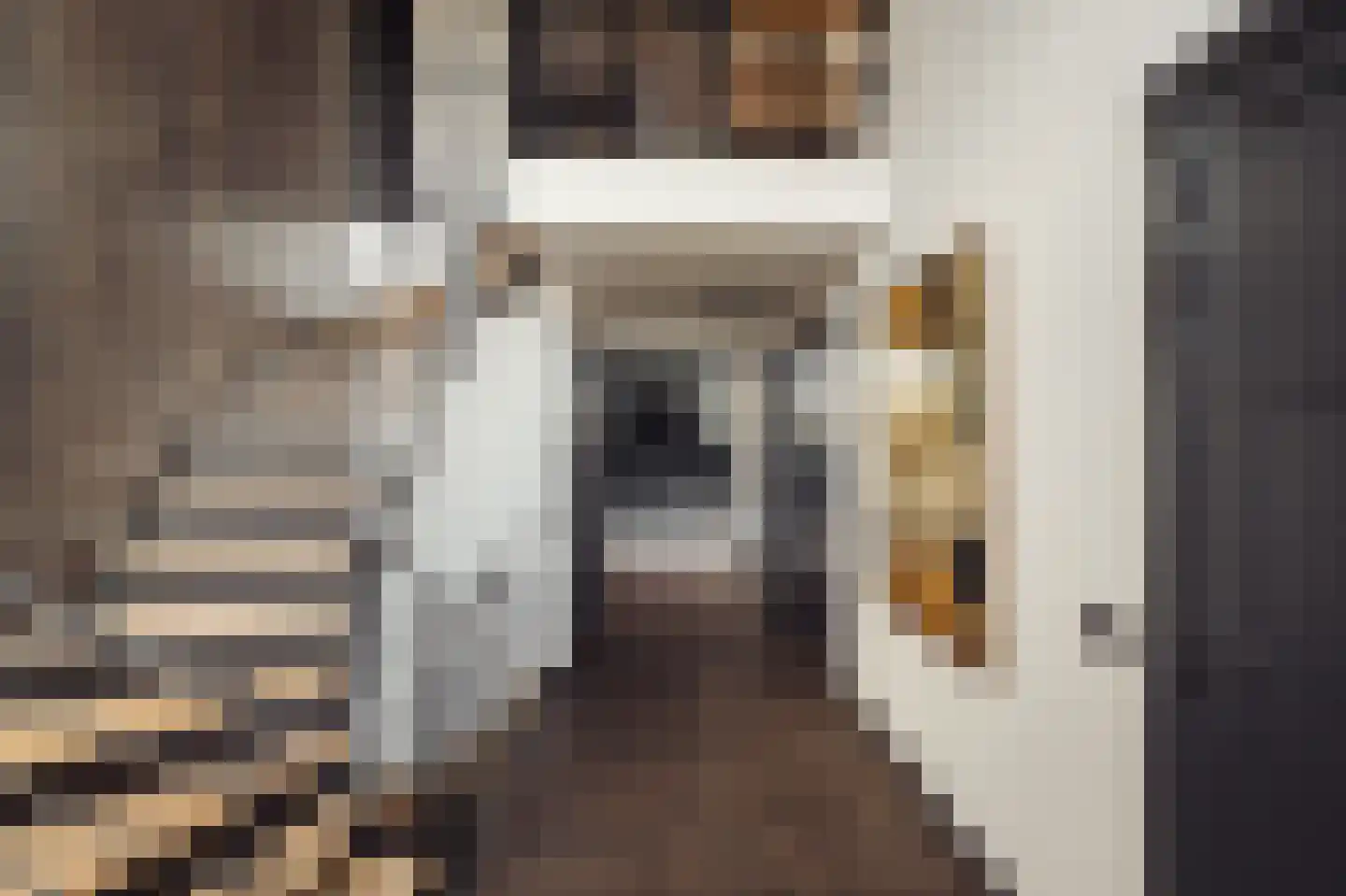 Heemskerkerrelweg 2 Wijk aan Zee thumbnail 5