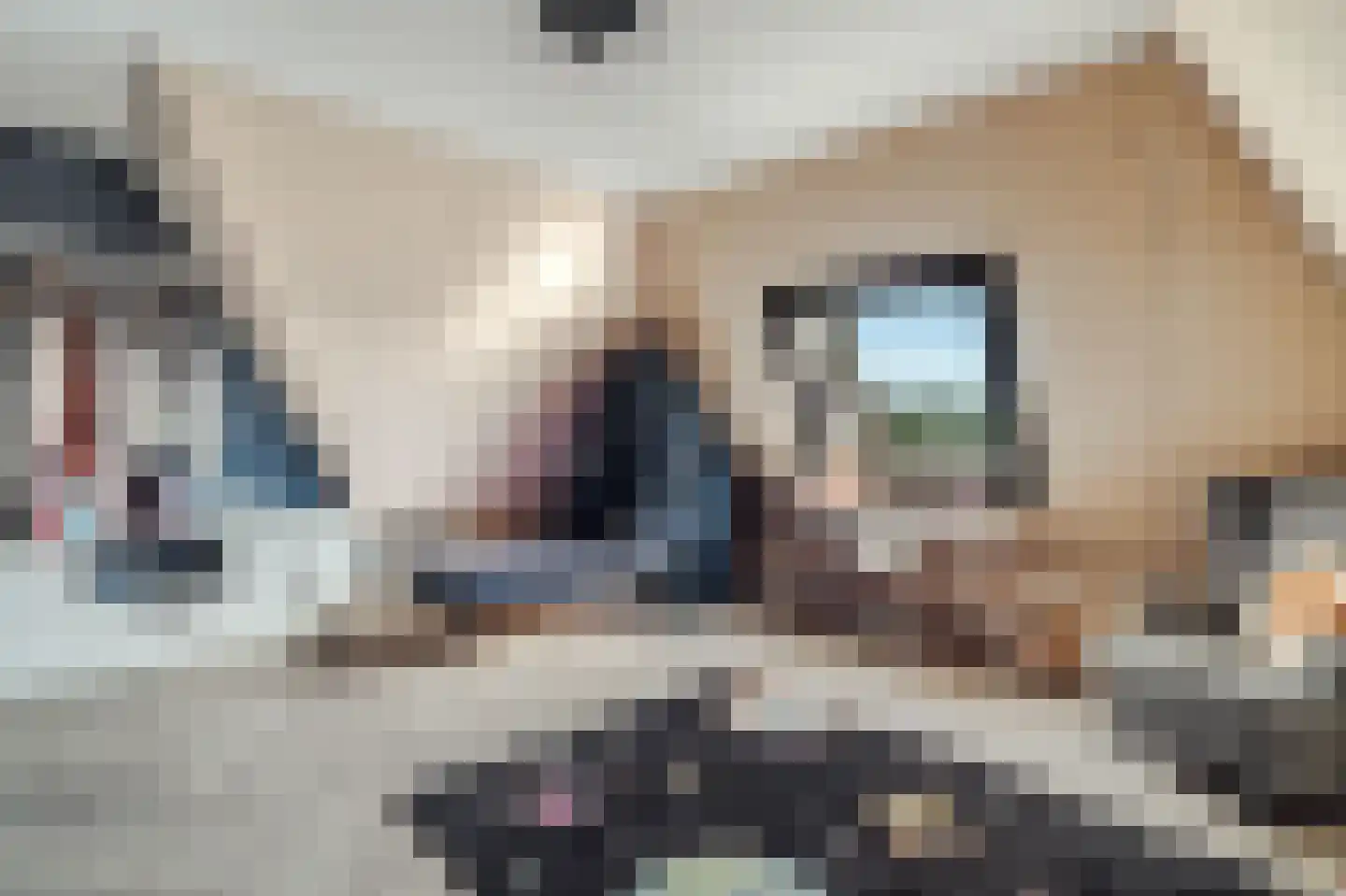 Heemskerkerrelweg 2 Wijk aan Zee thumbnail 54