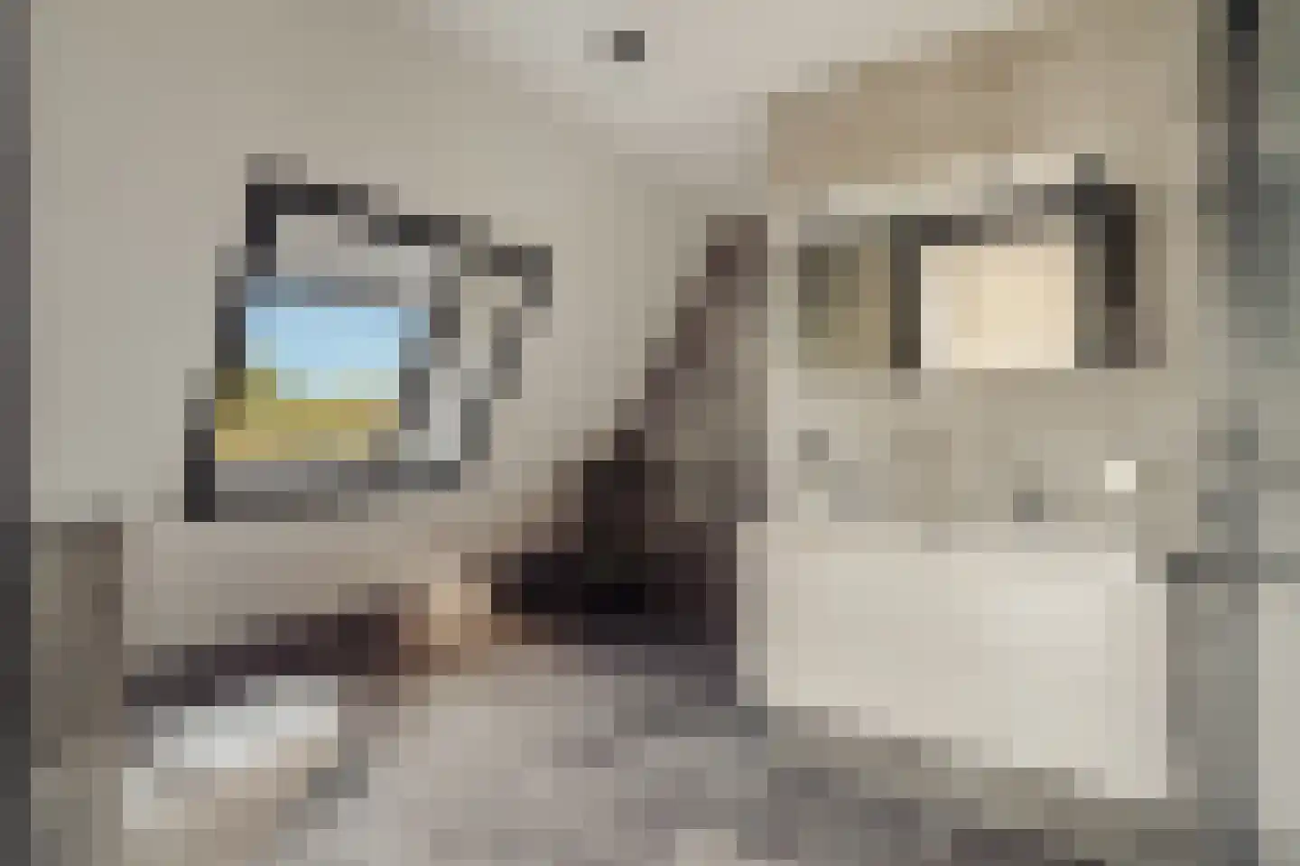 Heemskerkerrelweg 2 Wijk aan Zee thumbnail 57