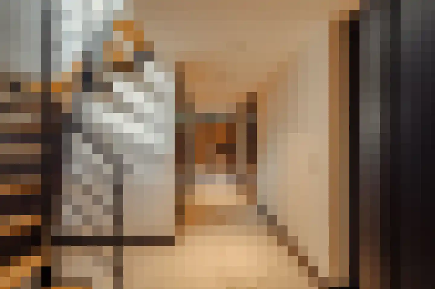 Heemskerkerrelweg 2 Wijk aan Zee thumbnail 64