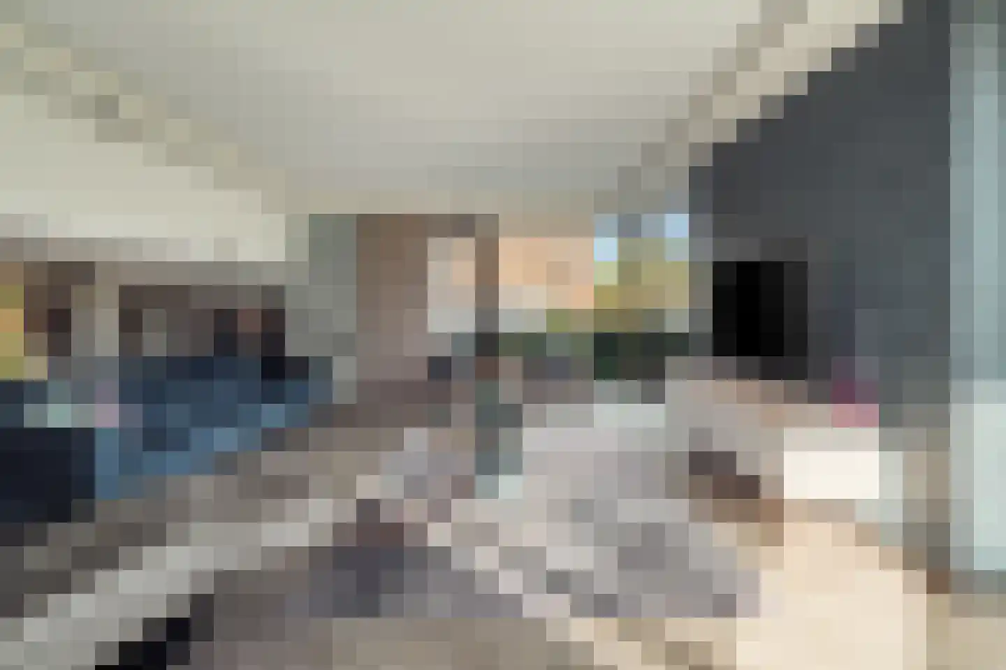 Heemskerkerrelweg 2 Wijk aan Zee thumbnail 7