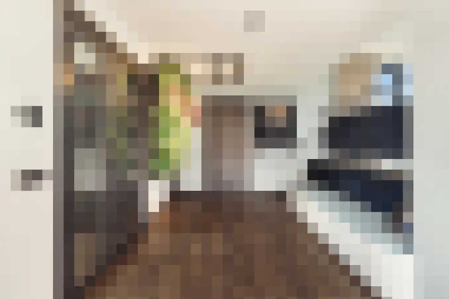 Heemskerkerrelweg 2 Wijk aan Zee thumbnail 8