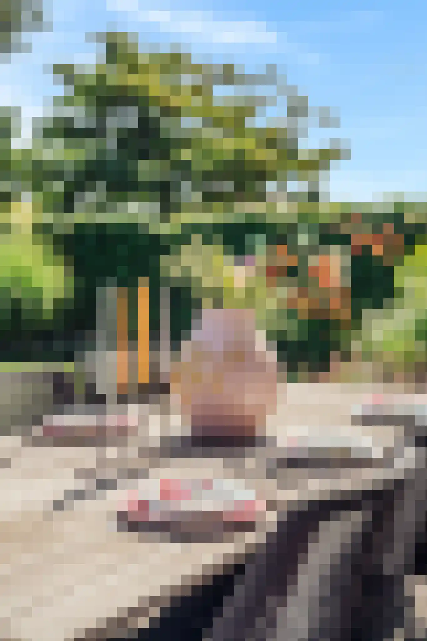 Heemskerkerrelweg 2 Wijk aan Zee thumbnail 83