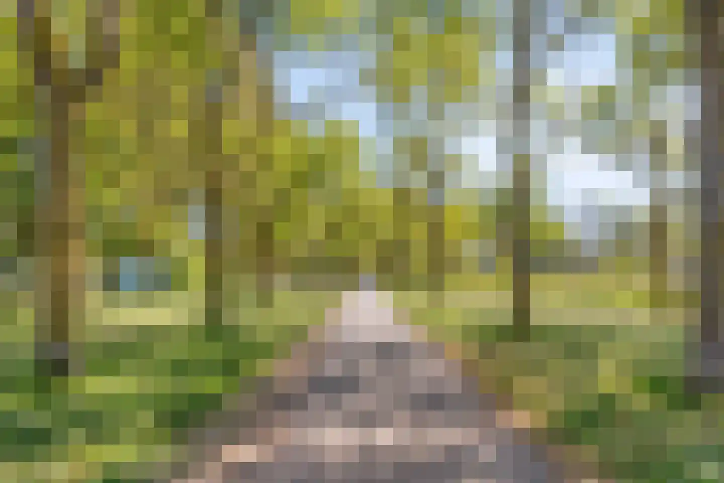 Heemskerkerweg 255 Beverwijk thumbnail 42