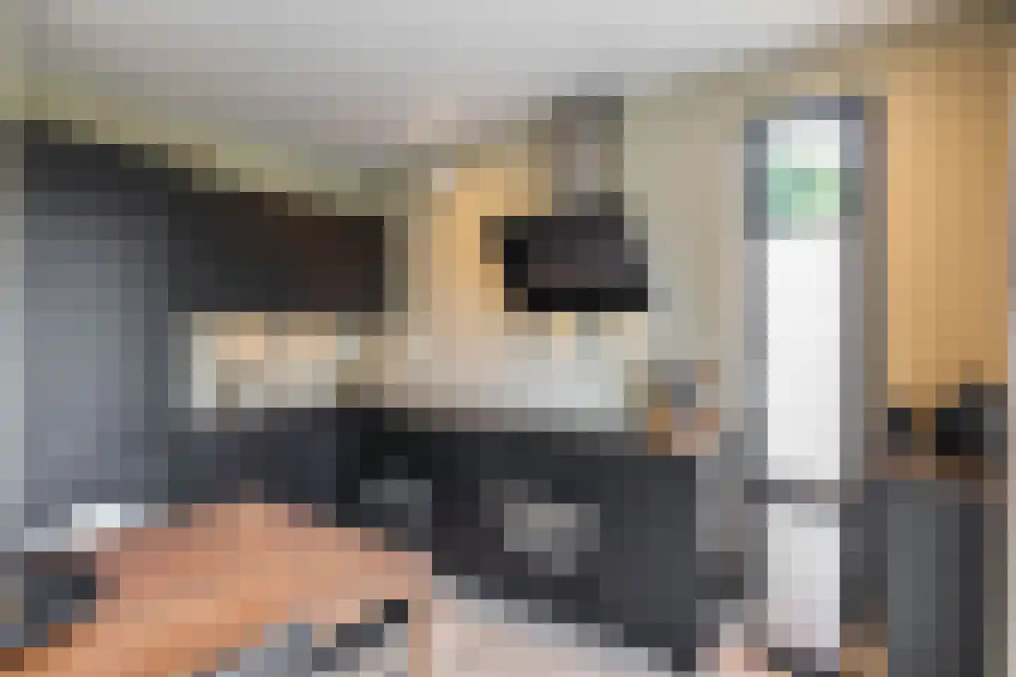 Heemskerkerweg 4 Beverwijk thumbnail 9