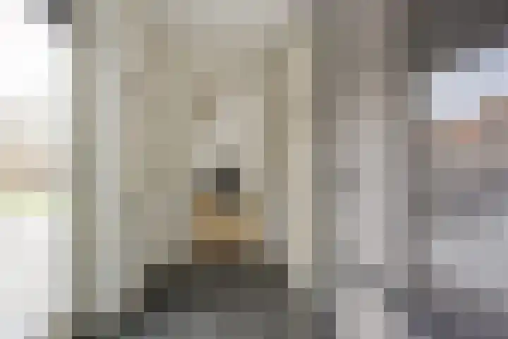 Heemskerkhorst 1 Etten-Leur thumbnail 21