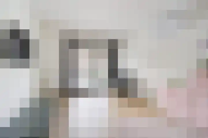 Heemskerkhorst 1 Etten-Leur thumbnail 24