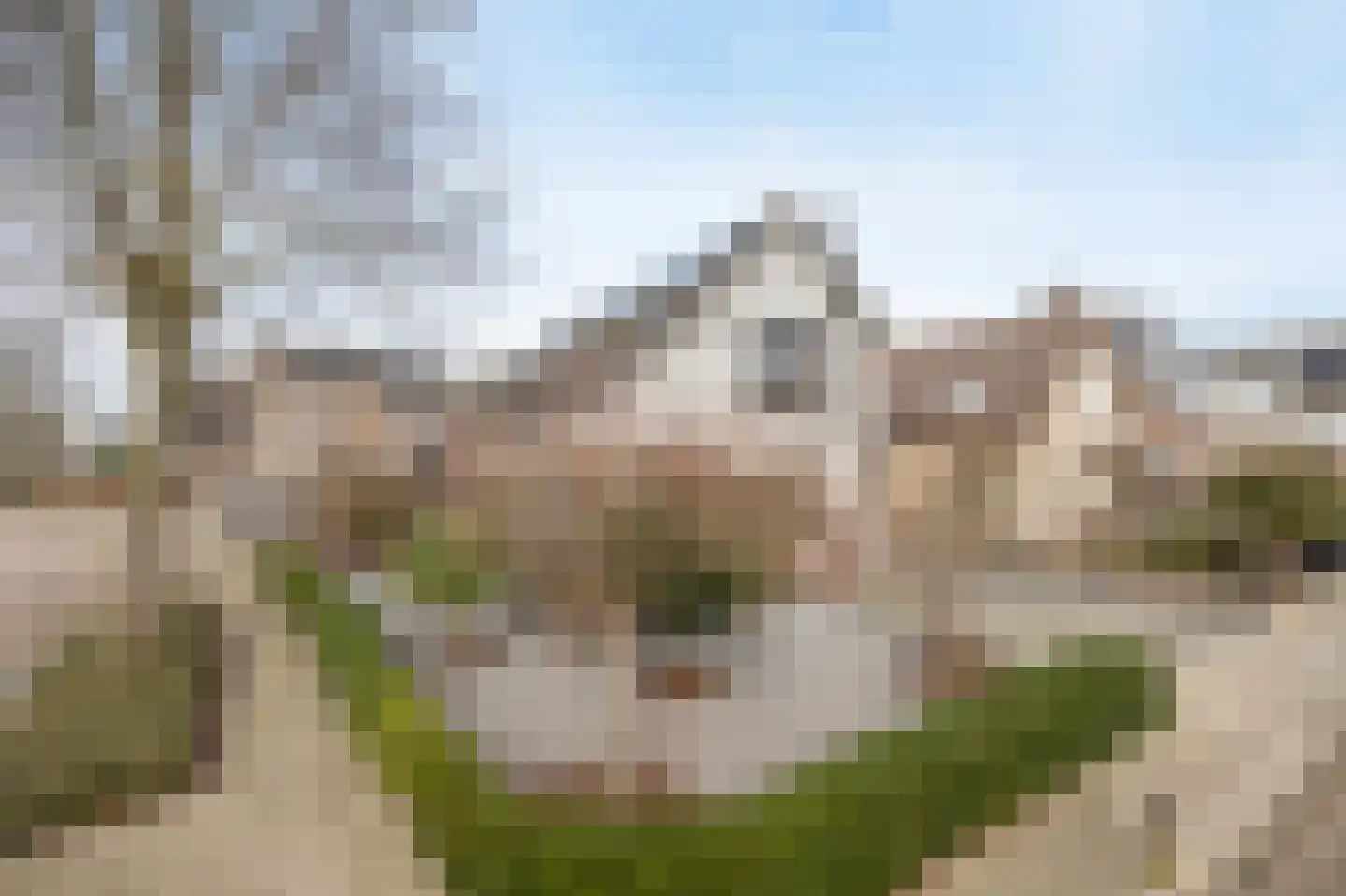 Heemskerkhorst 1 Etten-Leur thumbnail 48