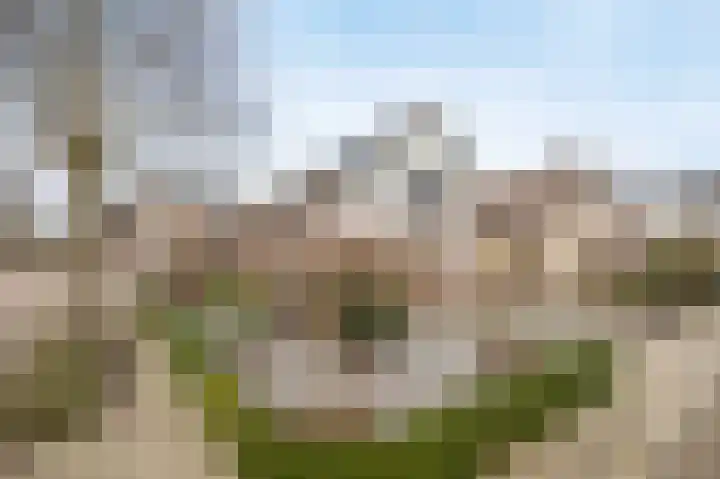 Heemskerkhorst 1 Etten-Leur thumbnail 48