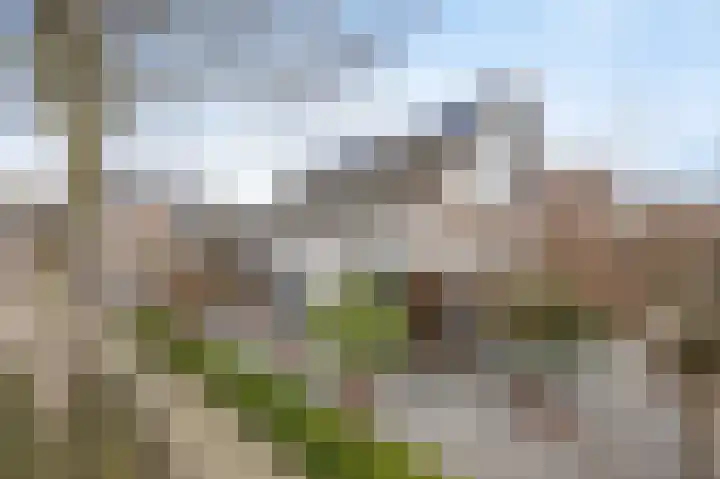 Heemskerkhorst 1 Etten-Leur thumbnail 49