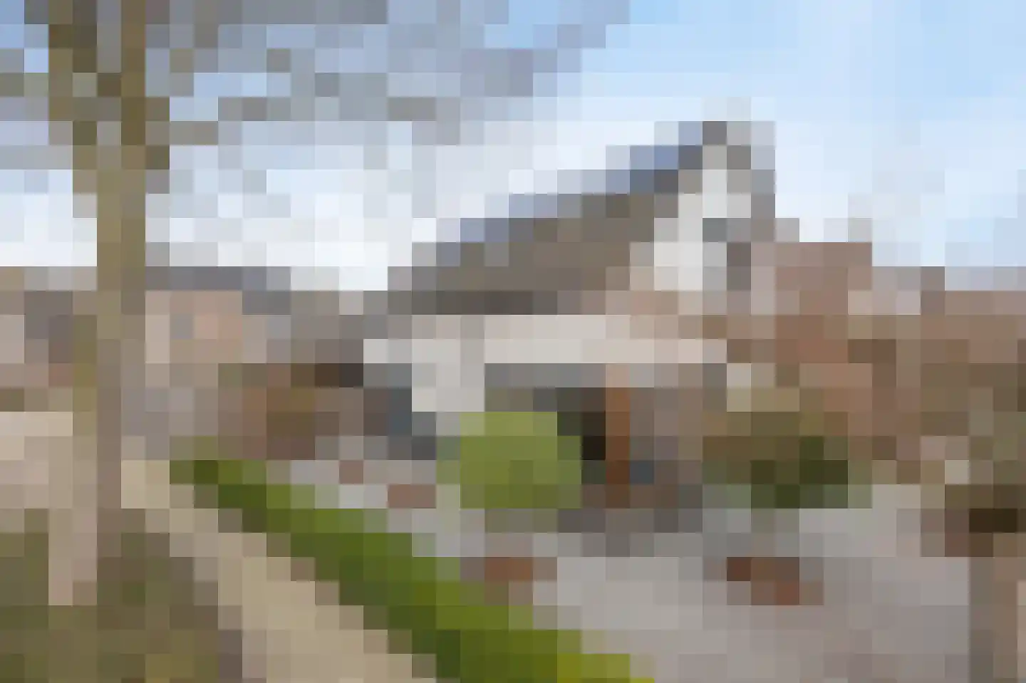 Heemskerkhorst 1 Etten-Leur thumbnail 49
