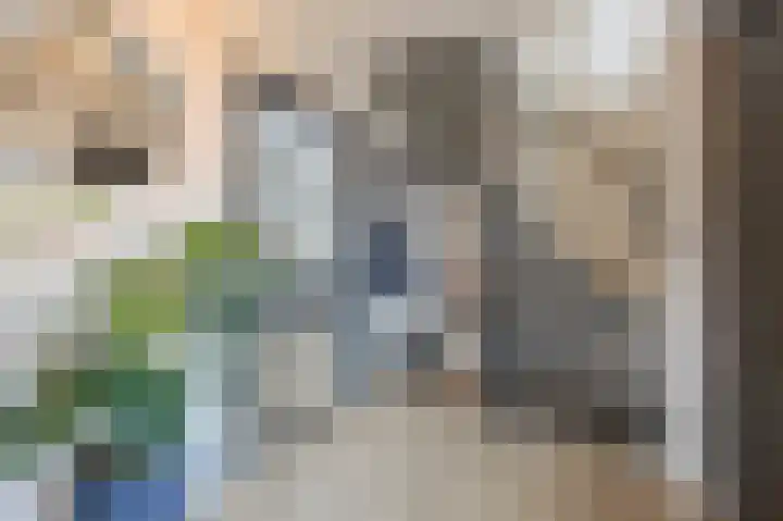 Heemskerkhorst 1 Etten-Leur thumbnail 6