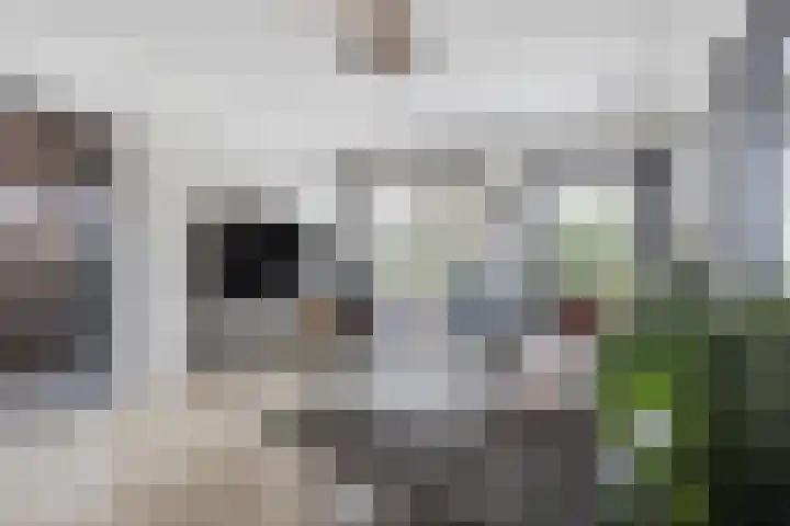Heemskerkhorst 1 Etten-Leur thumbnail 9
