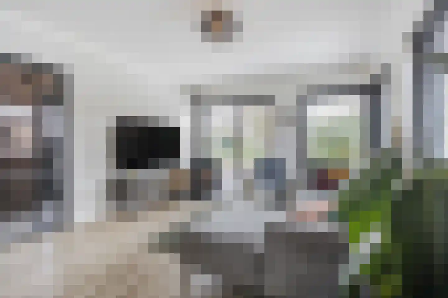 Heemskerkhorst 1 Etten-Leur thumbnail 9