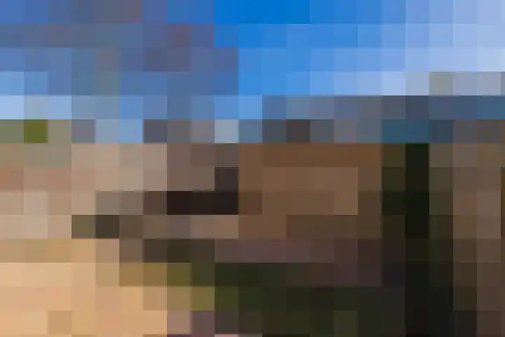 Heemskerklaan 115 Hillegom thumbnail 16