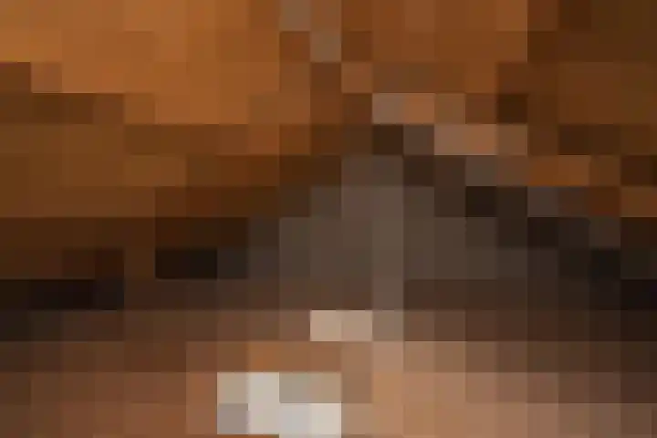 Heemskerklaan 115 Hillegom thumbnail 30