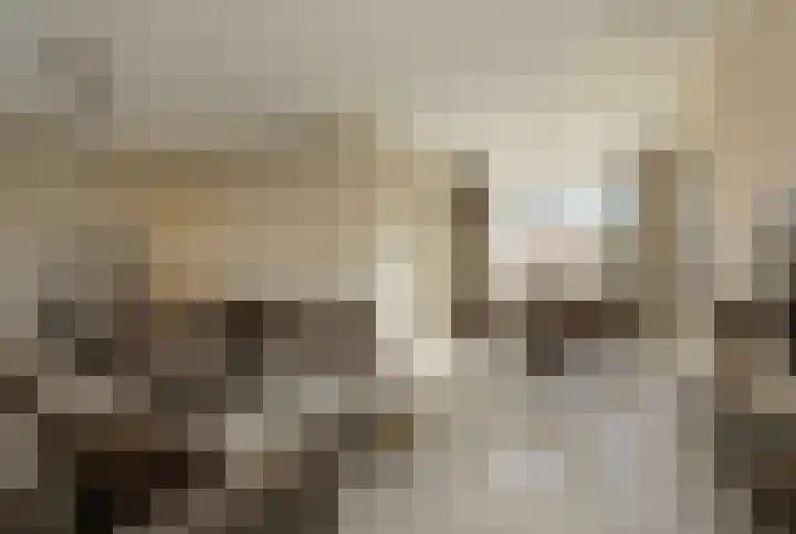 Heemskerklaan 115 Hillegom thumbnail 7