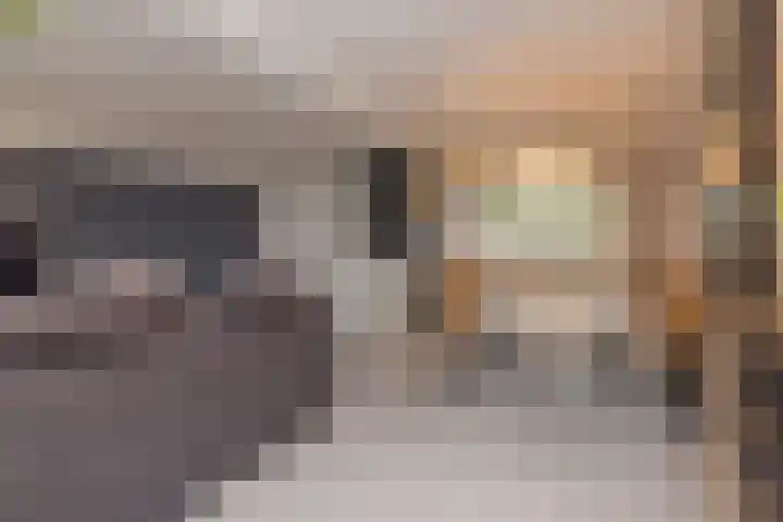 Heemskerklaan 14 Hillegom thumbnail 12