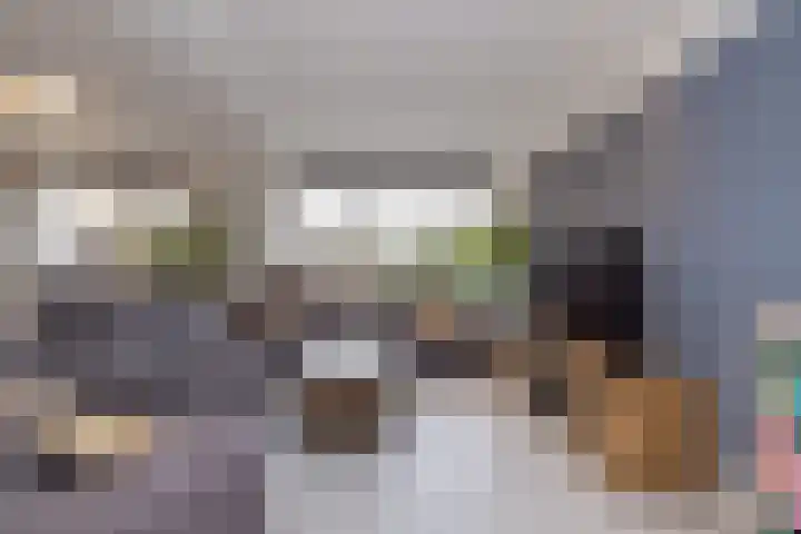 Heemskerklaan 14 Hillegom thumbnail 13