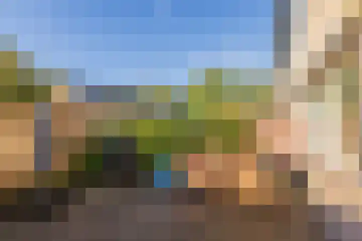 Heemskerklaan 14 Hillegom thumbnail 43