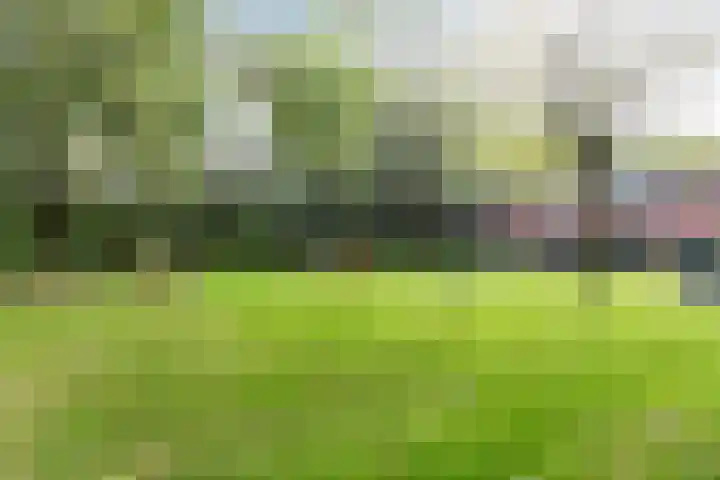 Heemskerklaan 149 Nunspeet thumbnail 30