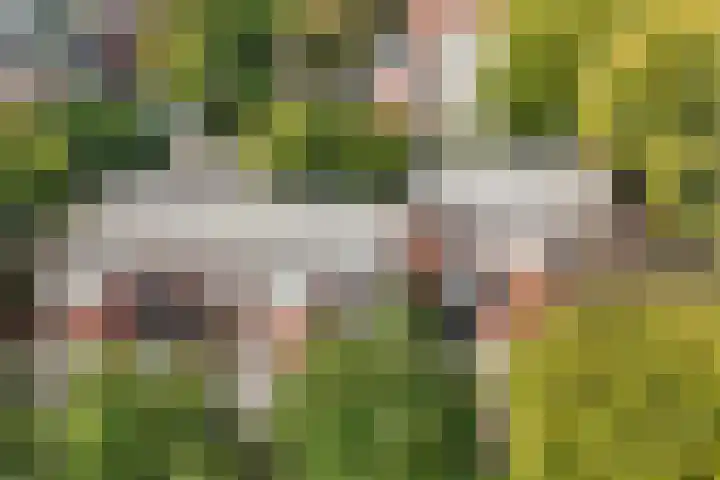 Heemskerklaan 149 Nunspeet thumbnail 5