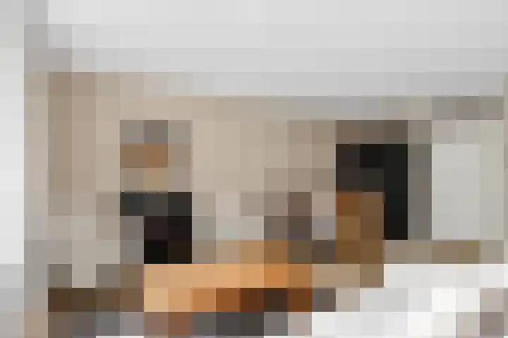 Heemskerklaan 149 Nunspeet thumbnail 9