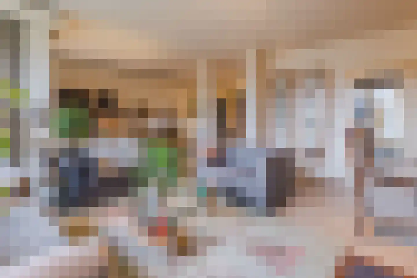 Heemskerklaan 16 Velp thumbnail 14