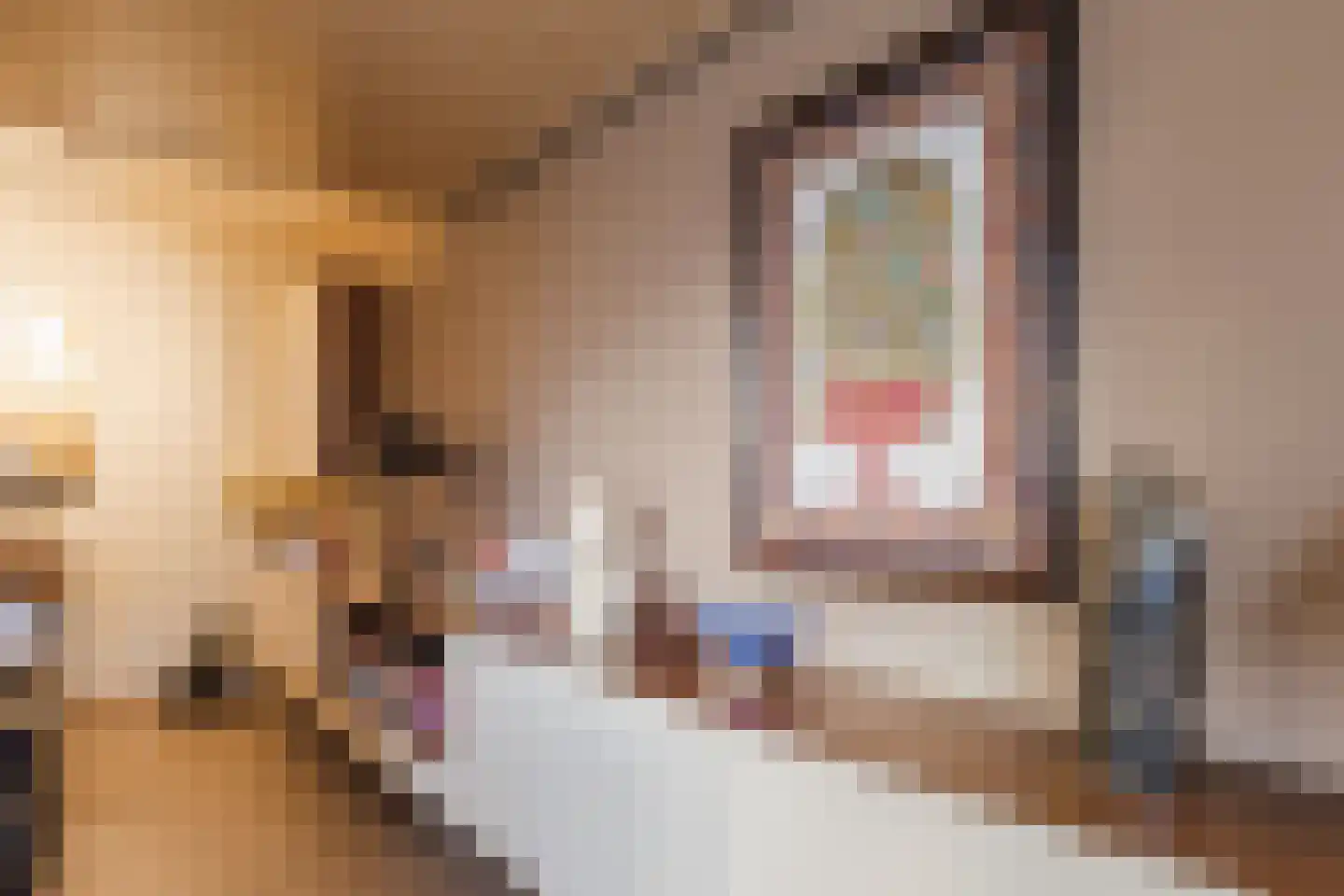 Heemskerklaan 16 Velp thumbnail 17