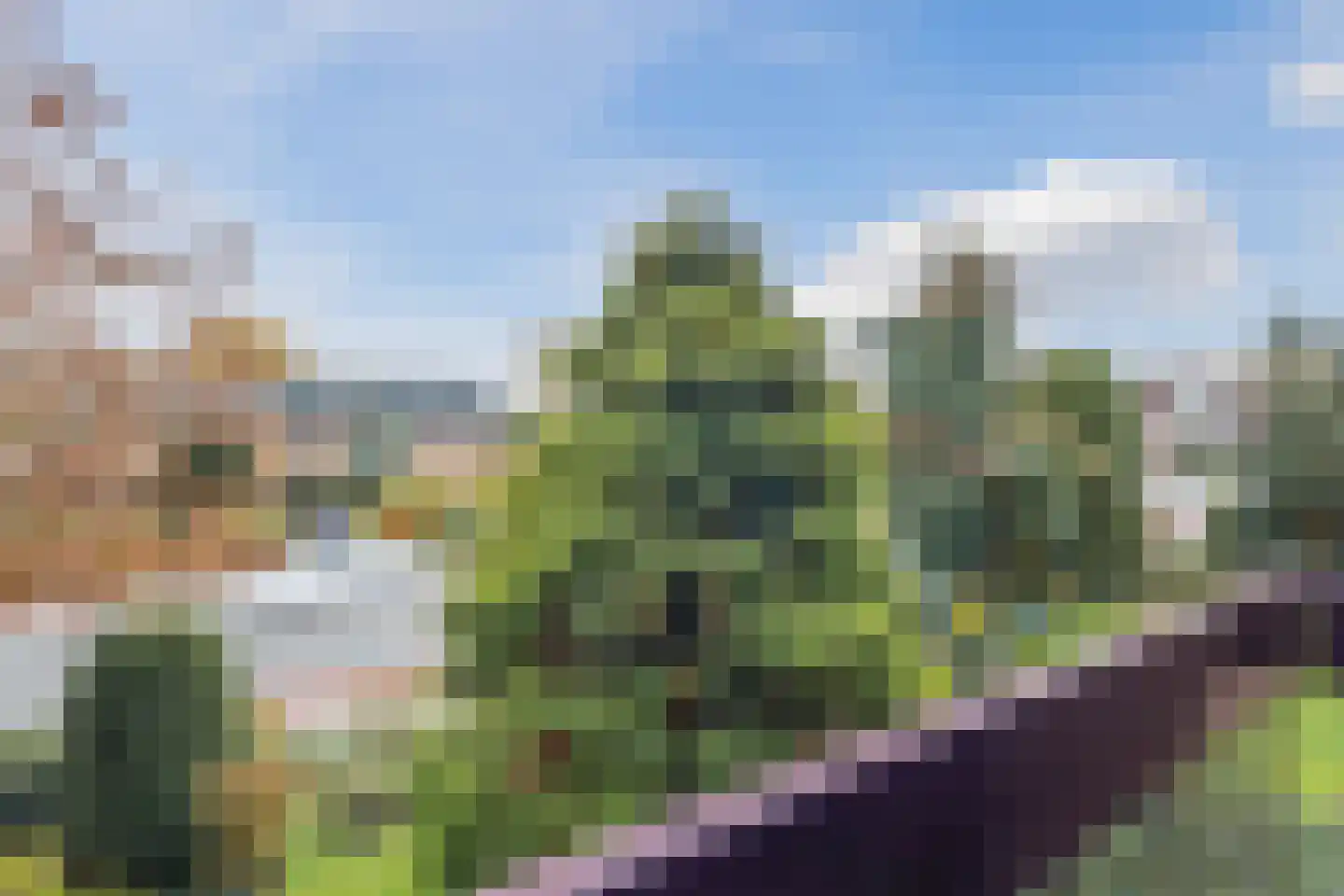 Heemskerklaan 16 Velp thumbnail 18