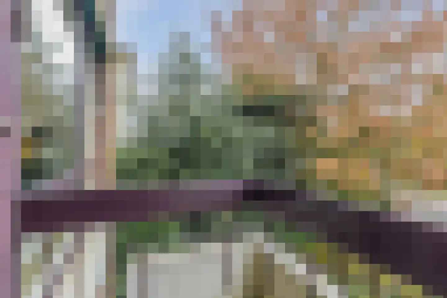 Heemskerklaan 16 Velp thumbnail 19