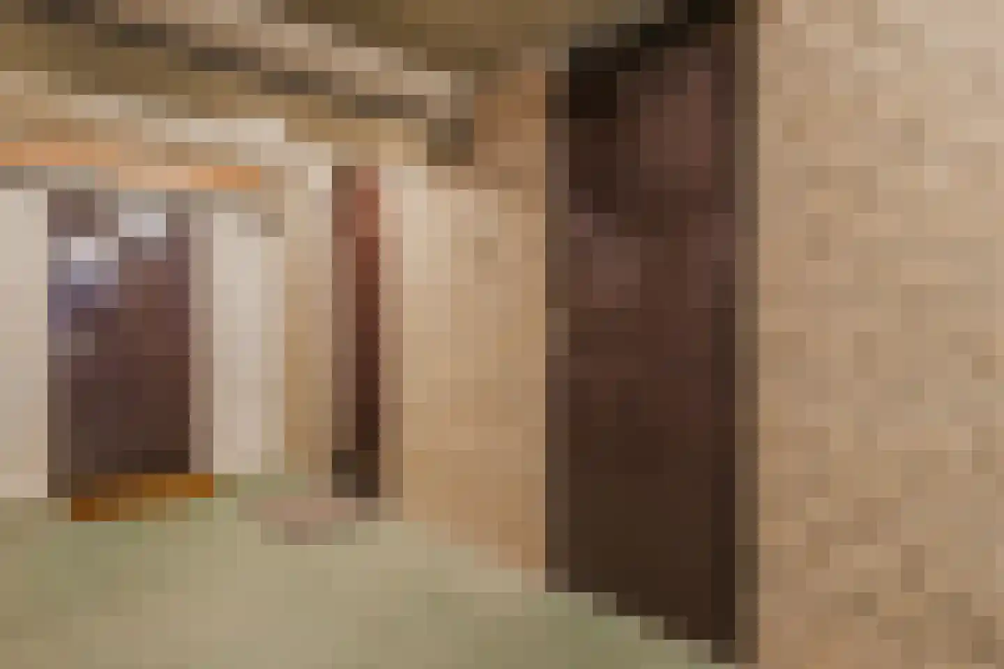 Heemskerklaan 16 Velp thumbnail 38