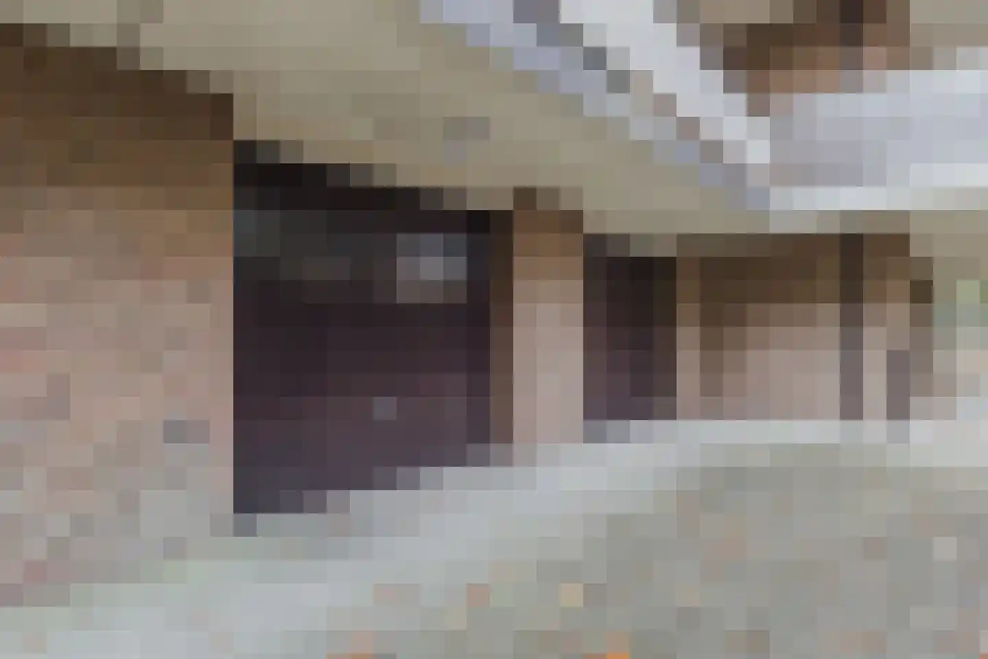 Heemskerklaan 16 Velp thumbnail 45