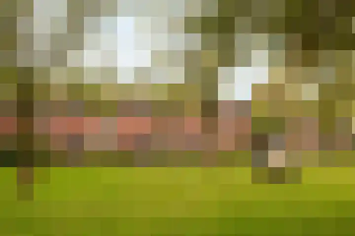 Heemskerklaan 172 Nunspeet thumbnail 5