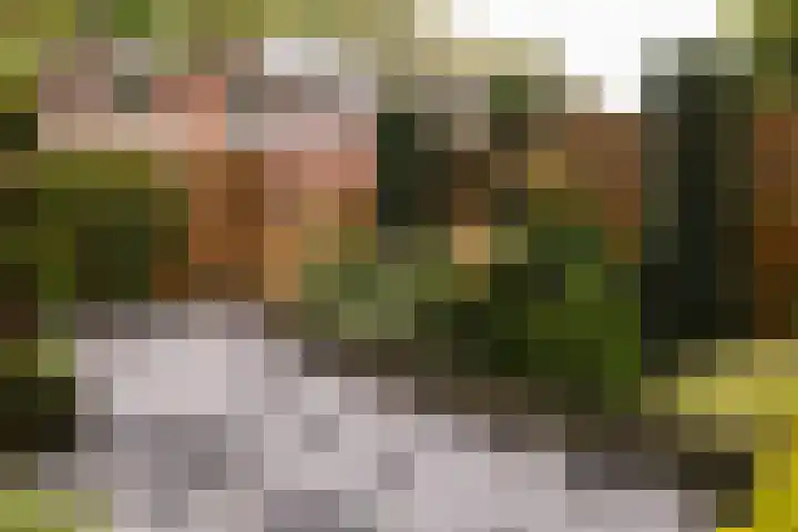 Heemskerklaan 172 Nunspeet thumbnail 8