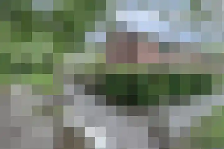 Heemskerklaan 174 Nunspeet thumbnail 5