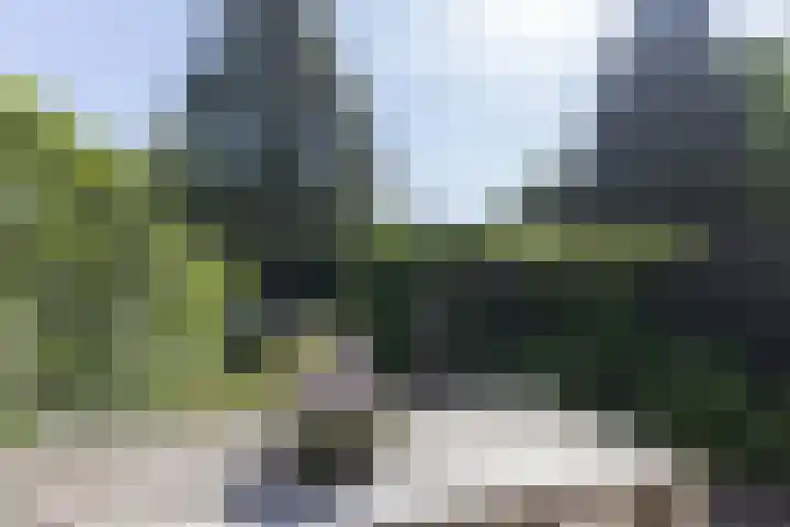 Heemskerklaan 19 Naarden thumbnail 28